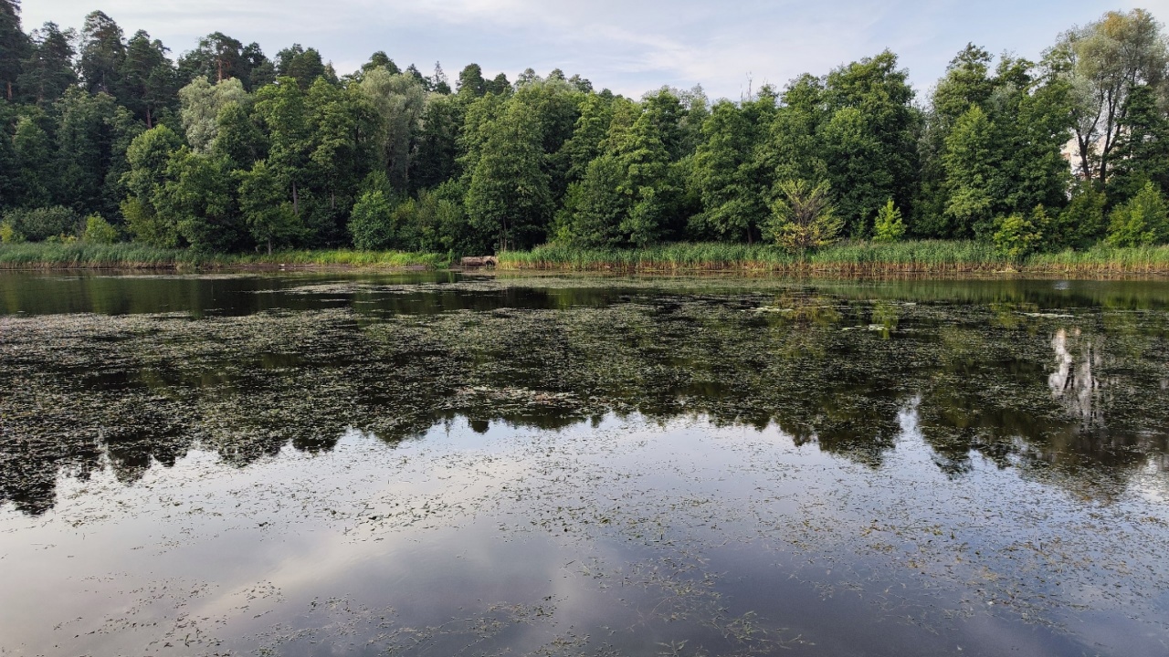 Река Сатис-2.jpg